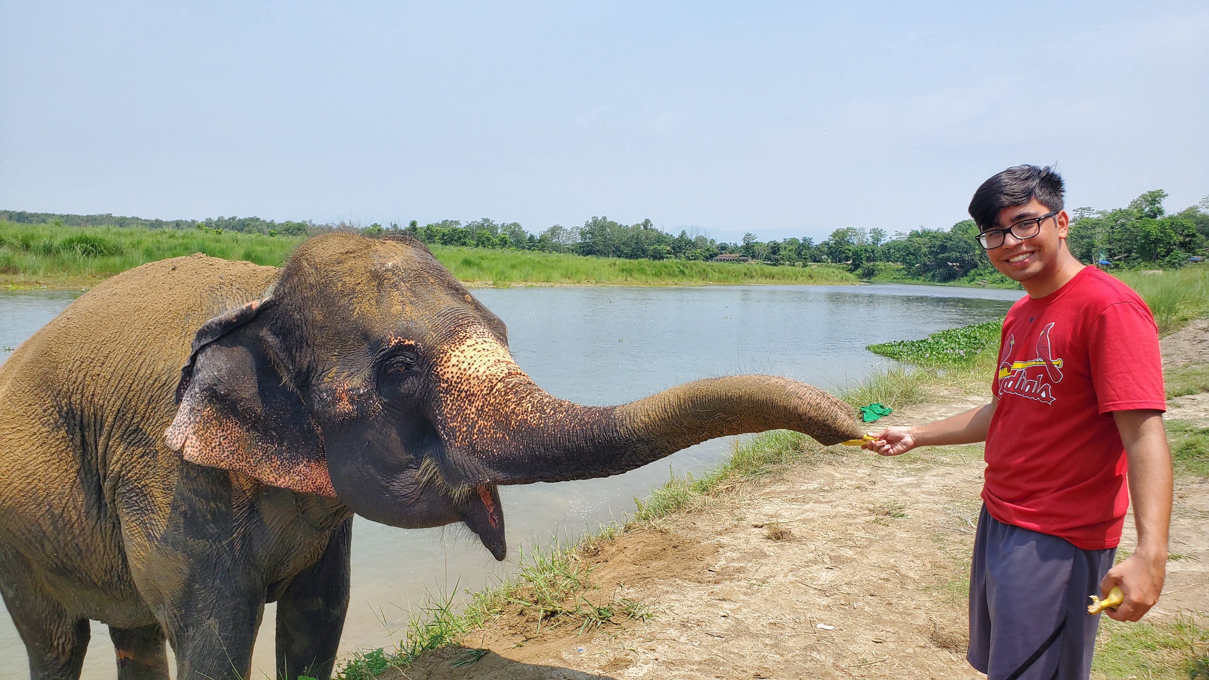 Feeding an Elephant in Chitwan, Nepal